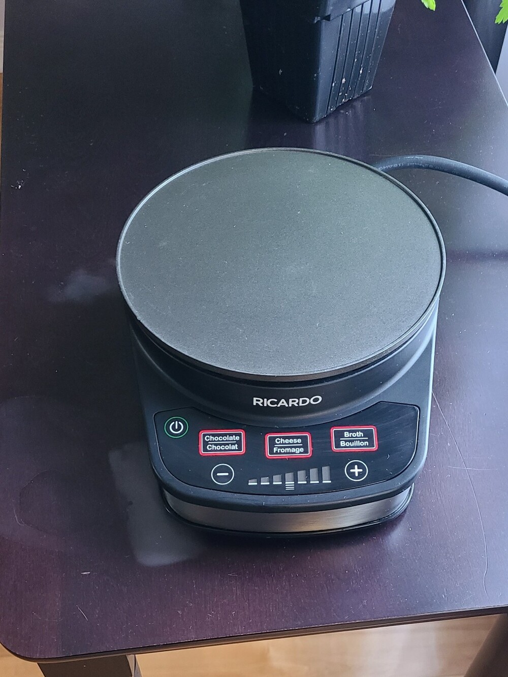 Digital Ricardo Electric Fondue Warmer